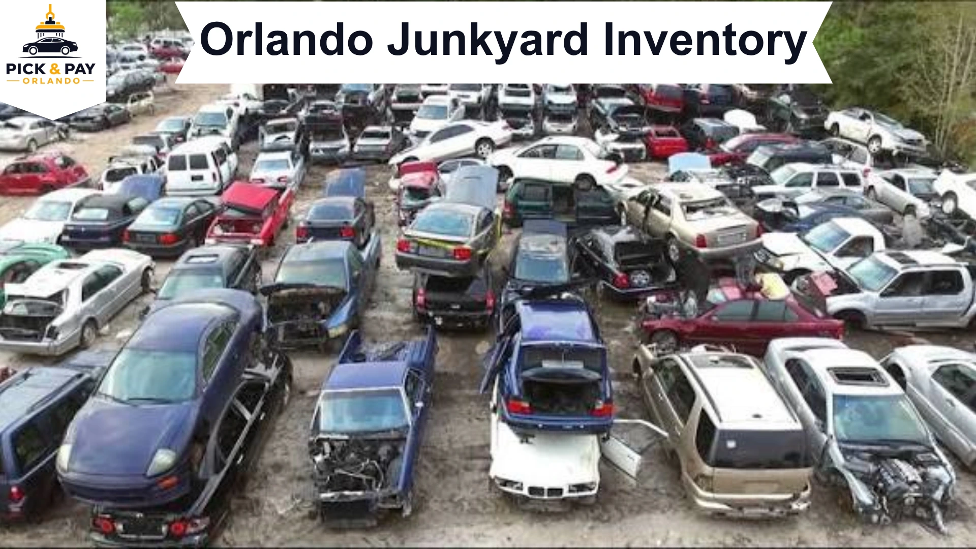 Orlando junkyard inventory with used vehicles.